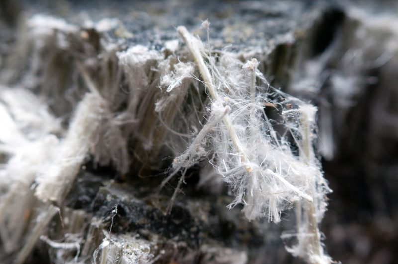 asbestos fiber - test for asbestos fibers
