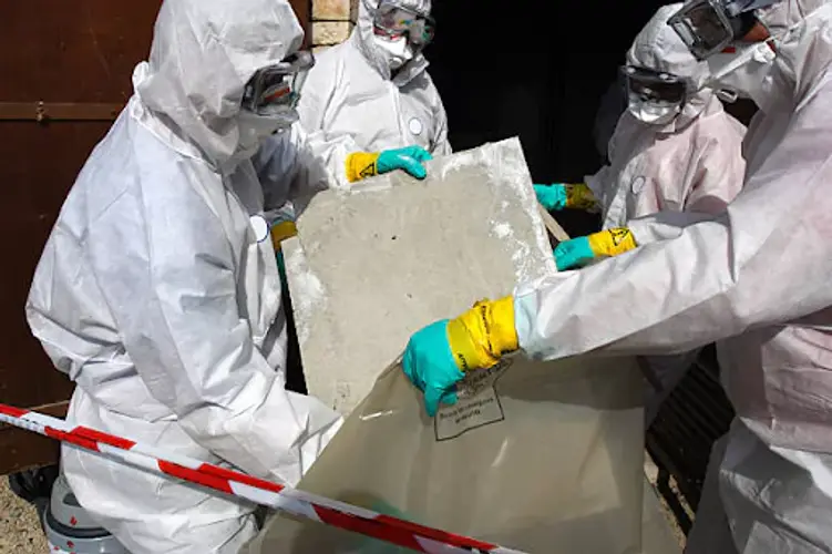 professional asbestos removal Chicago